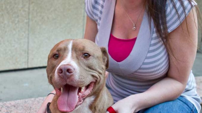 Senior Amanda Havens owns Toby. ( STEVEN REITZ // TTN )