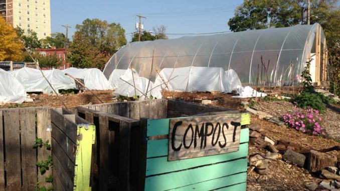 Philadelphia Urban Creators gears up for the winter by implementing high tunnels in the garden to lengthen the growing season of crops. | LAUREN HERTZLER / TTN