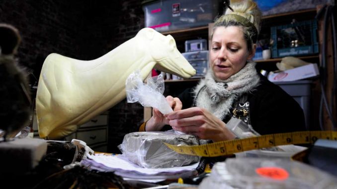 Taxidermist Beth Beverly works on her projects in a studio space in Philadelphia. Previous to owning the space, she worked out of her house, once skinning a goat in her bathtub. Beverly is now on the AMC show, “Immortalized.” | ABI REIMOLD / TTN