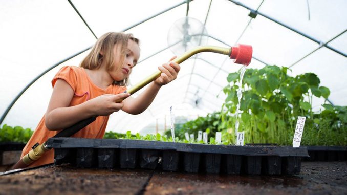 Sylvie, who stars in “Watermelon Magic,” waters plants in a still from the movie. | courtesy RICHARD POWER HOFFMANN