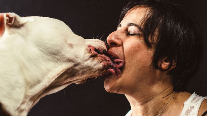 why do dogs kiss