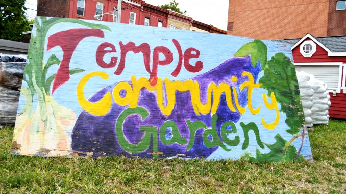 Temple Community Garden was previously set to move near the Temple University Regional Rail station but relocated due to inadequate soil. It now sits at the corner of Diamond and Carlisle streets. Sash Schaeffer |TTN