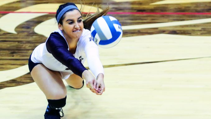 Senior middle blocker Jennifer Iacobini digs the ball during the Owls’ 3-0 win against South Florida last Friday. Iacobini has started in 19 of the Owls’ 26 games during her last season. Hua Zong | TTN