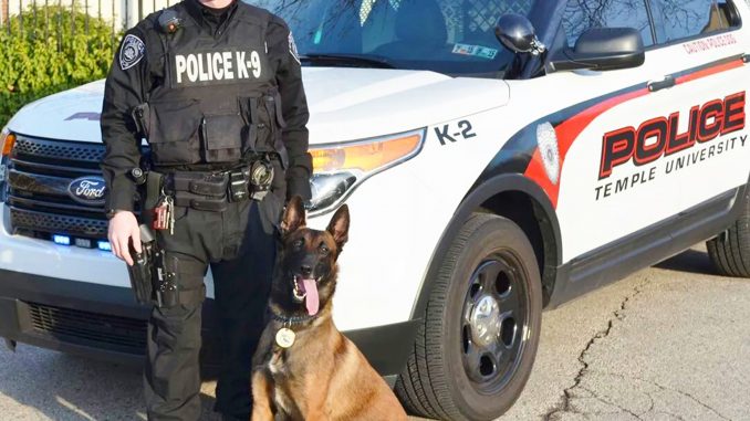 Police officer Doug Hotchkiss and Belgian Shepherd Retriever Baron who relieved officers searching for Eric Frein. | COURTESY TEMPLE POLICE