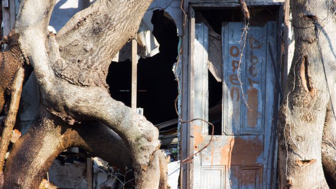 Trees reclaim an abandoned property on North Delhi Street, between Diamond Street and Susquehanna Avenue. | Alex Friend TTN